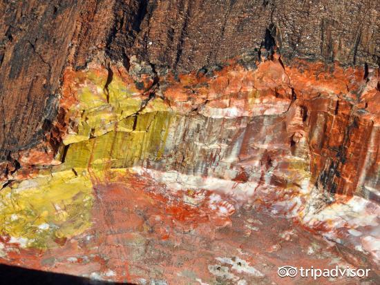 缤纷绚丽的视频,色彩斑斓的世界美景