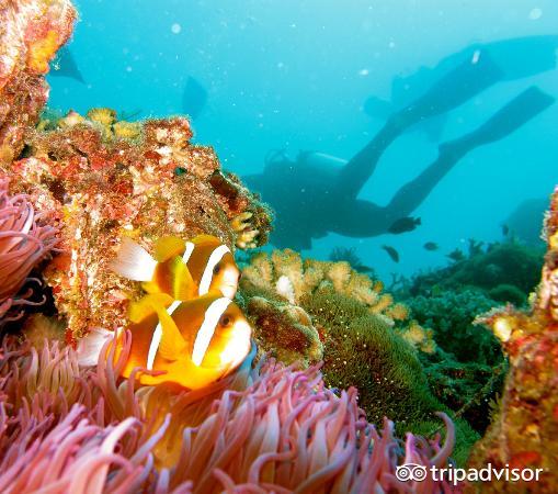 缤纷绚丽的视频,色彩斑斓的世界美景