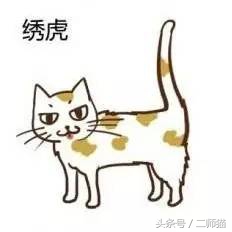 古人怎么给猫取名,猫的古代名字大全