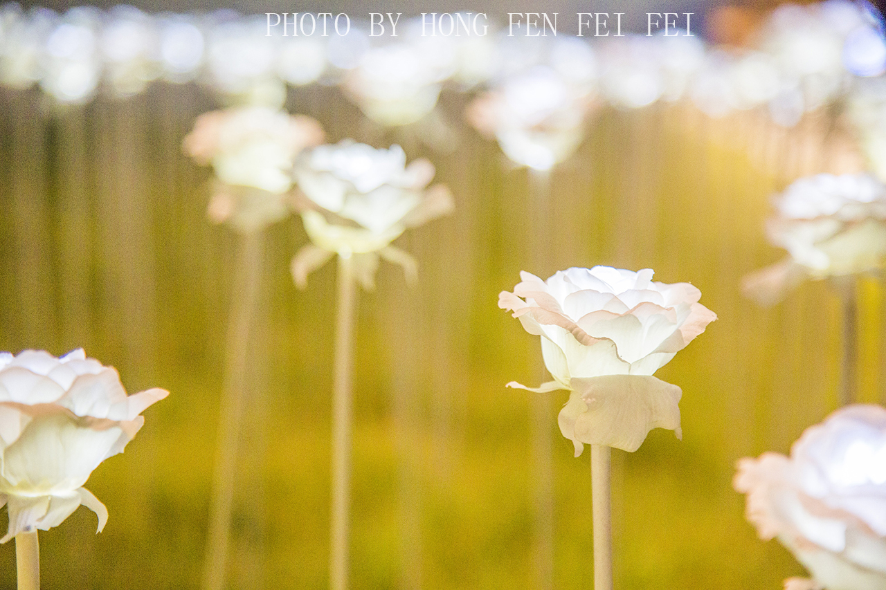 韩国东大门生意火爆,韩国东大门什么物流靠谱