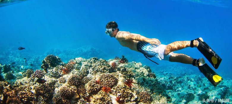 菲律宾爱妮岛浮潜的注意事项,海边浮潜注意事项