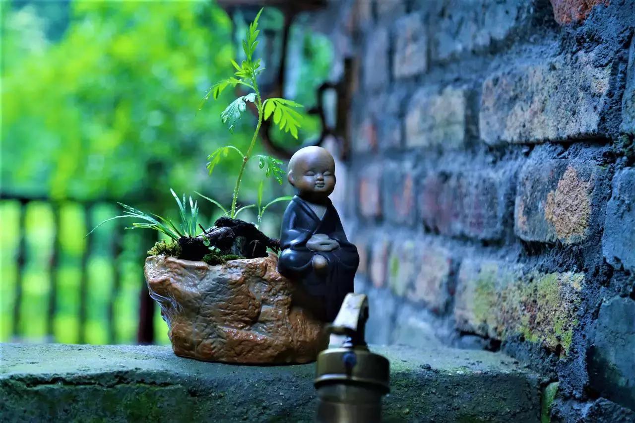 30年间从学徒到大师,46岁他隐居黄山脚下匠心造出2000㎡避世山居