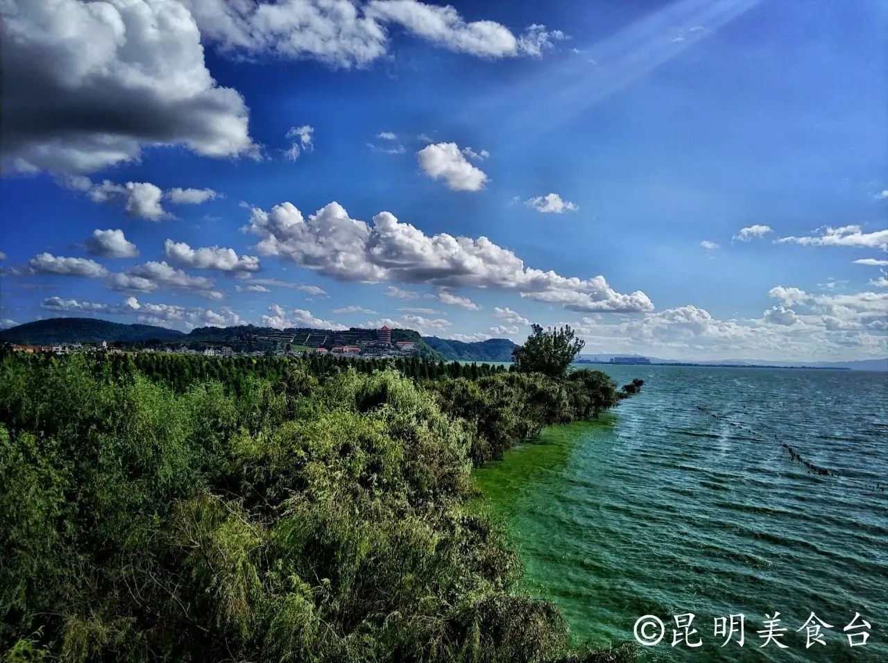 昆明捞鱼河公园万株野花如期绽放，国庆节踩烂2张共享单车也得去