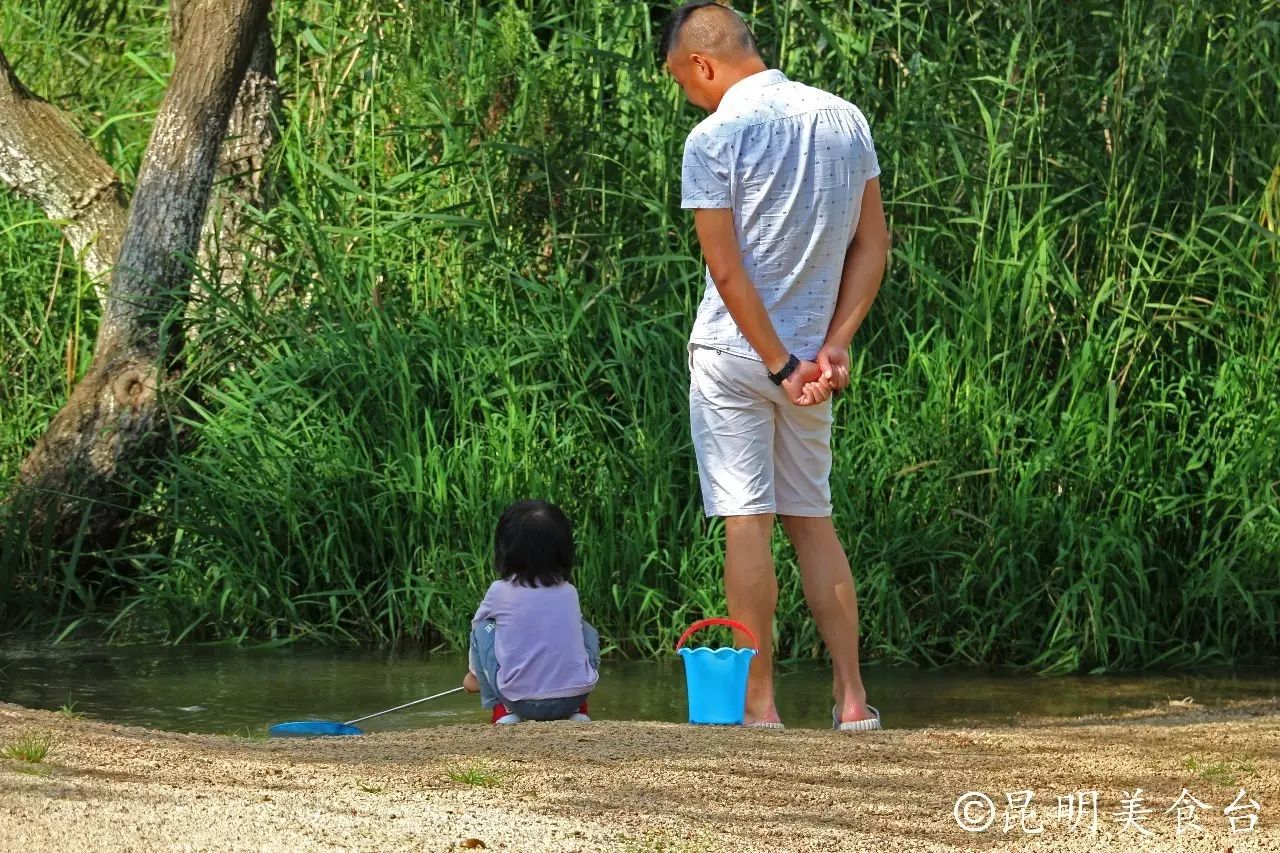 昆明捞鱼河公园万株野花如期绽放，国庆节踩烂2张共享单车也得去