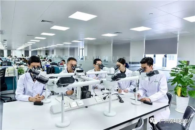 惊喜不断新春盛典,惊喜不断震撼来袭