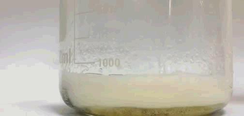 国外网友作死实验,手机泡水一天一夜测试