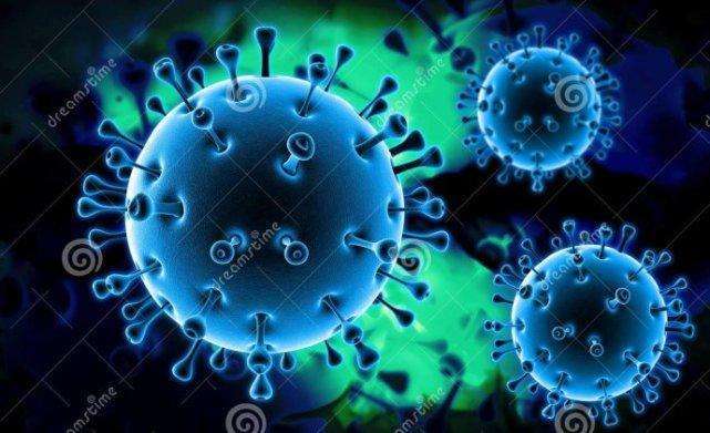 什么样是乙肝病毒携带,乙肝病毒是哪一年发现的