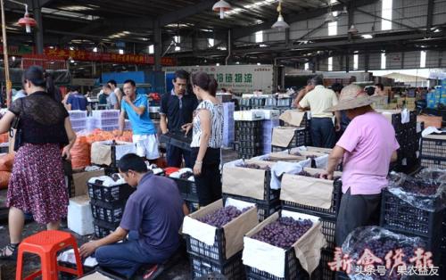 如何找到代卖货,代卖水果怎么操作