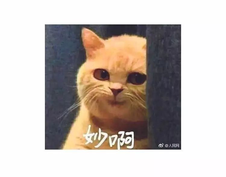 剧情已过半,主角领盒饭,反套路不断,《那年花开》的脑洞忒厉害