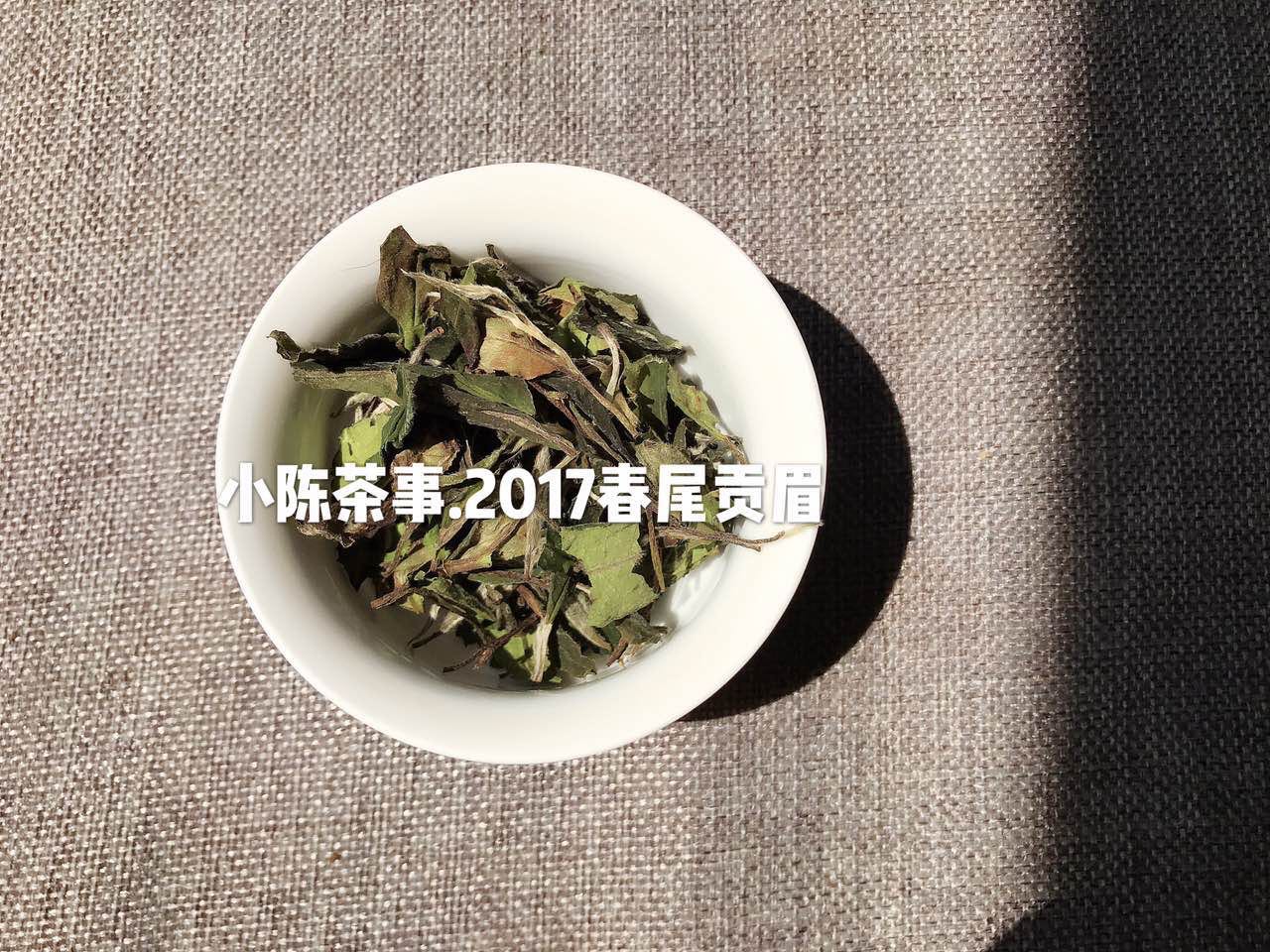 白茶容易被误解的4个问题,给你5个应该喝白茶的理由