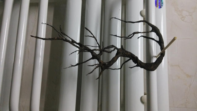 为茶室添一缕梅香,只需卫生纸与铁丝的完美结合