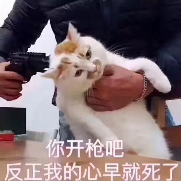 乳液是从胸部提取的、拿神仙水灭烟……直男对化妆品有什么误会？