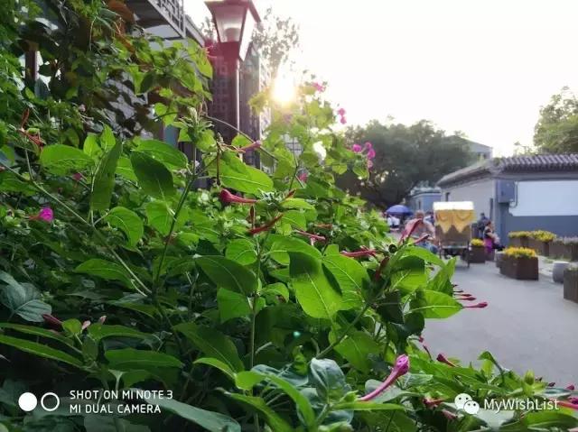 小米note3现在还值得买吗,小米note3现在还值得买嘛