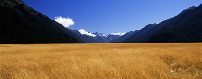 新西兰移民新攻略,新西兰移民生活攻略