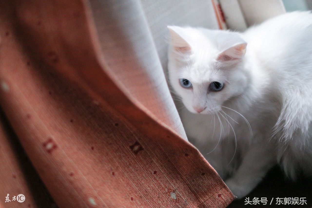 平时很少去思考它们的存在的知识,今天终于知道这些知识了