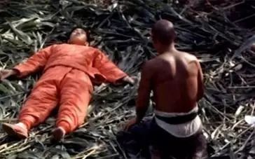 昆明捞鱼河公园万株野花如期绽放，国庆节踩烂2张共享单车也得去