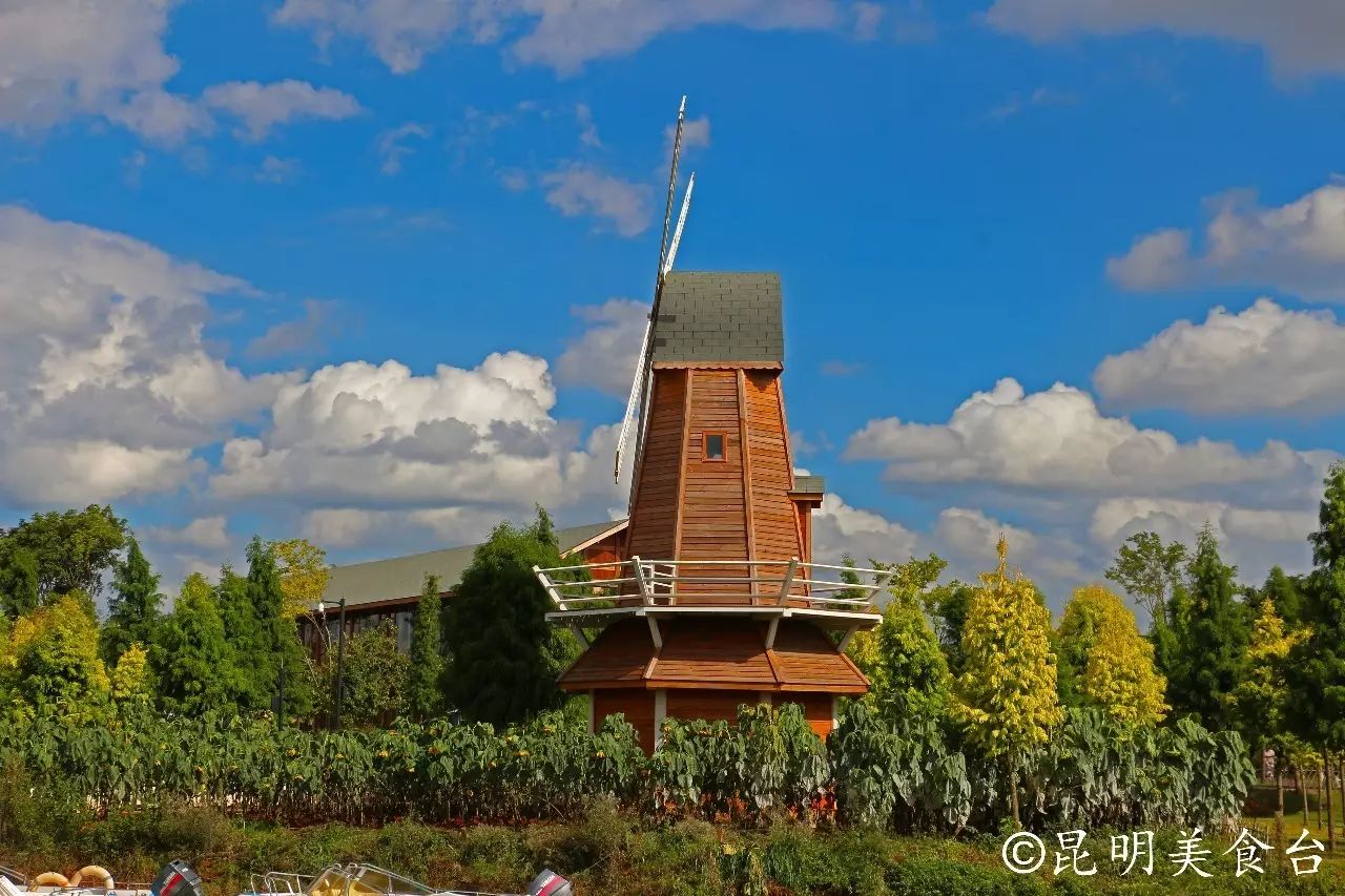 昆明捞鱼河公园万株野花如期绽放，国庆节踩烂2张共享单车也得去