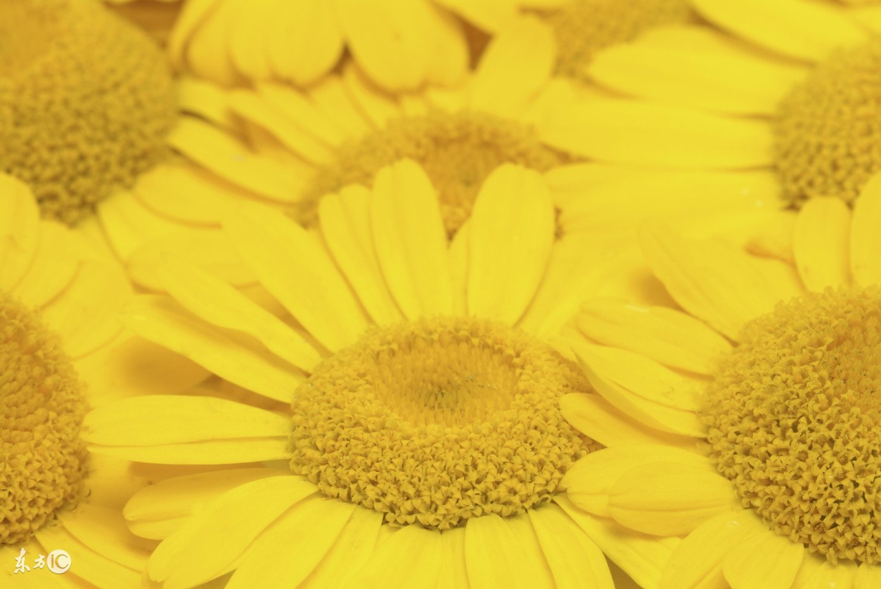 医学科普得了痔疮会有哪些症状,痔疮内痔的症状和表现