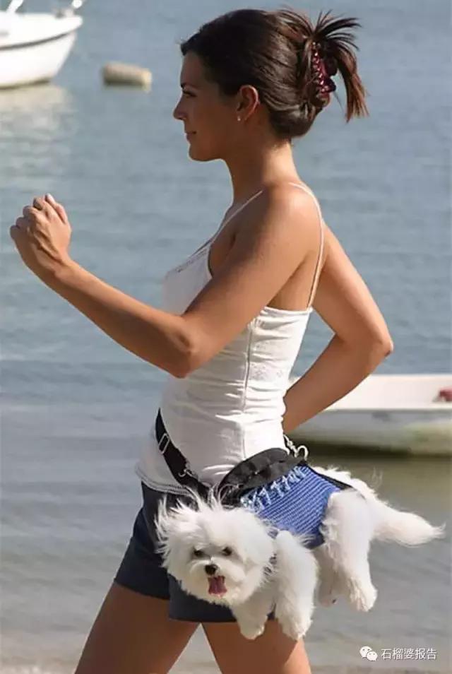 宋茜令人佩服,宋茜气场全开碾压众女星