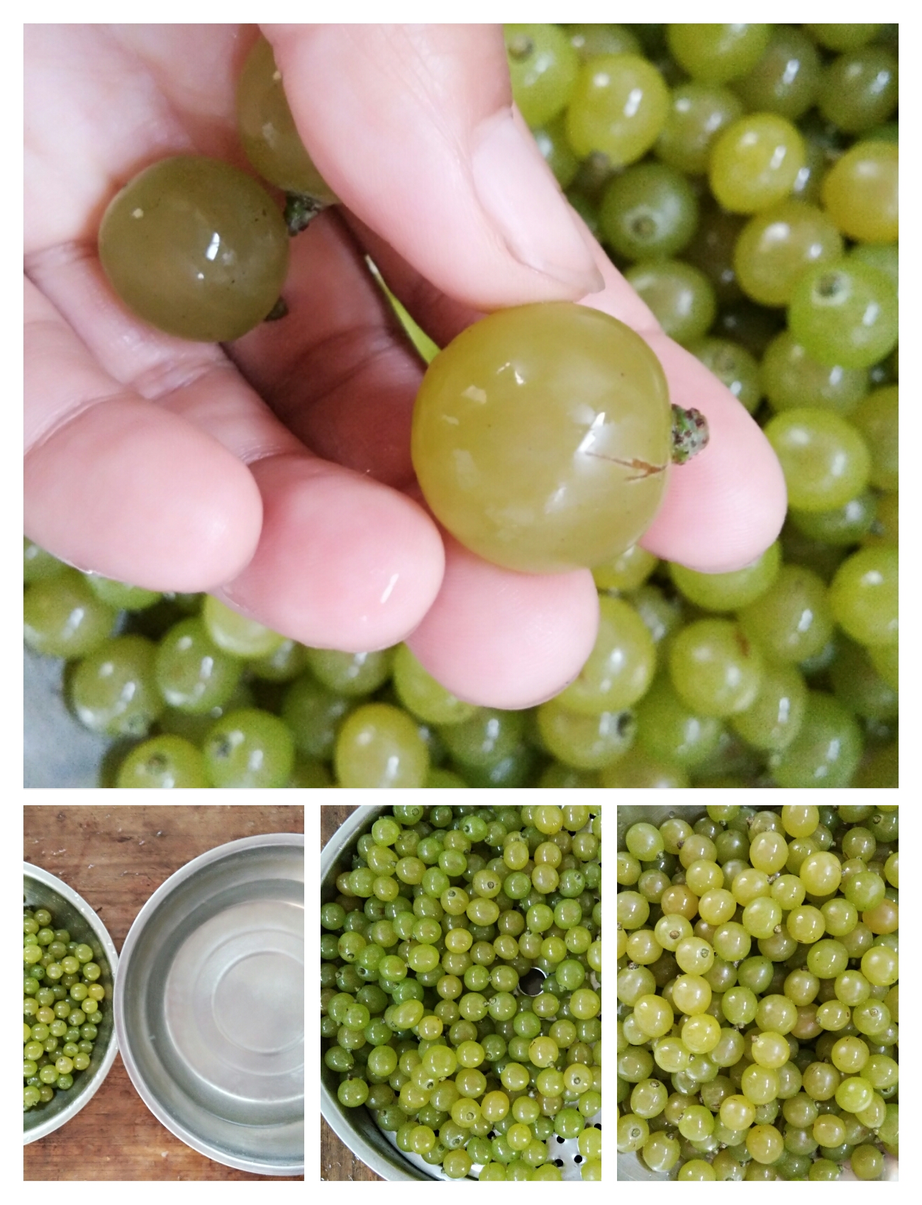 葡萄怎么洗更安全,葡萄如何洗才能确保干净