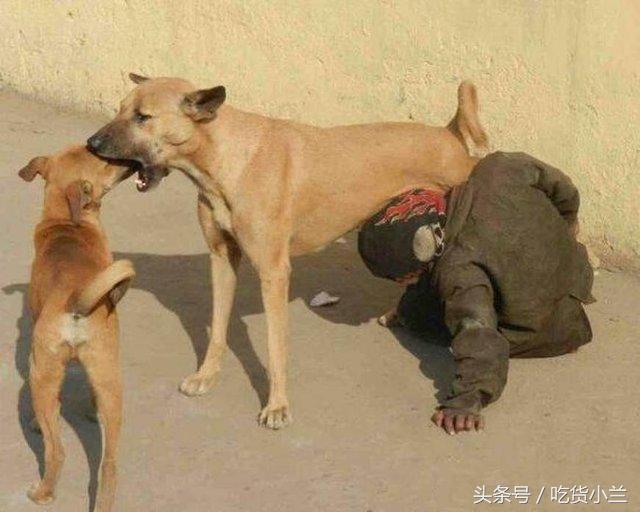 2岁小孩喝奶粉上瘾,2岁宝宝喝奶上瘾