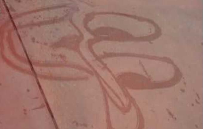 香港迪士尼乐园和上海迪士尼乐园,香港迪士尼和上海迪士尼