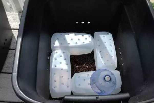 用塑料瓶自制植物自动浇水器,花盆土干了自动浇水器