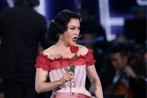 哈嗲！120000㎡一眼望去全是绿！全上海唯一森林音乐会免费赠票啦