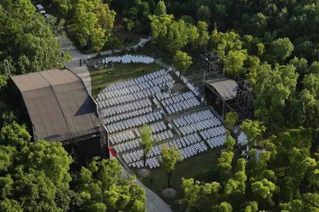 哈嗲！120000㎡一眼望去全是绿！全上海唯一森林音乐会免费赠票啦
