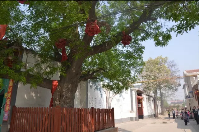 藁城为何突然发展起来了,藁城以后的发展