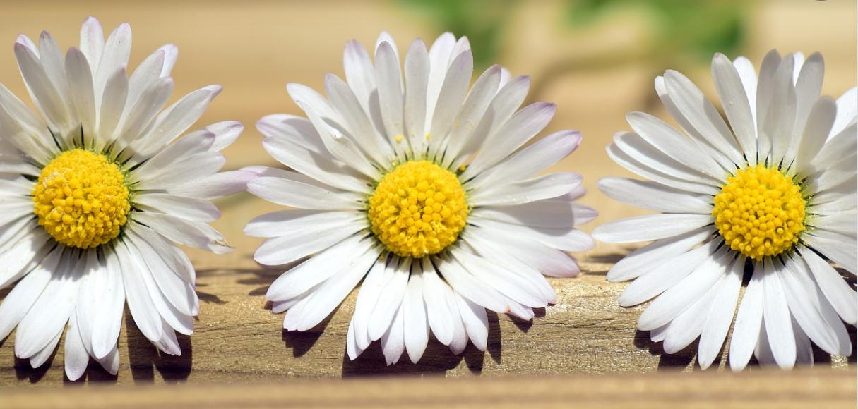 君君的创业,君君的成长记录