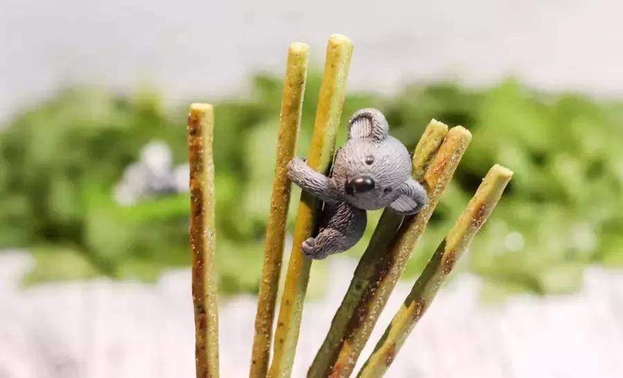 测了17款“网绿”香菜零食，种下了这几样草