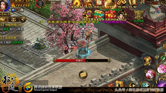 宠物宝贝的图片可爱,宠物宝贝高清图