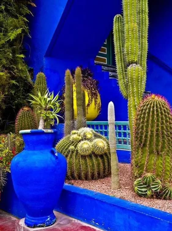 时装大师圣罗兰的秘密花园到底什么样?