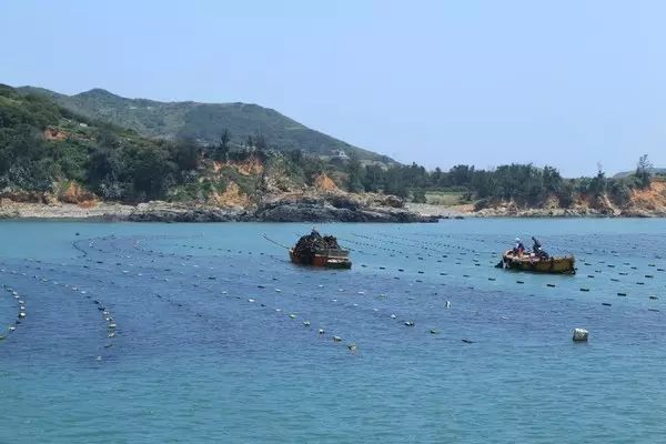 爸爸去哪拍摄地广东,爸爸去哪儿黄河拍摄地