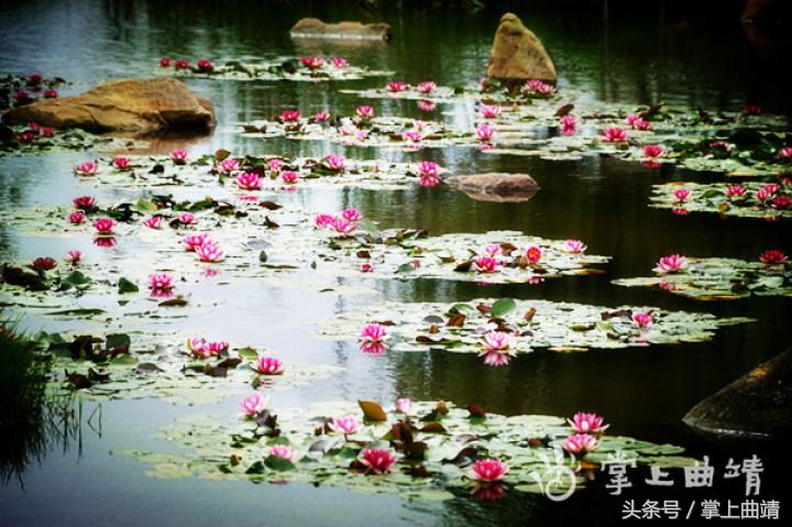 云南马龙水景公园,马龙县水景公园图片