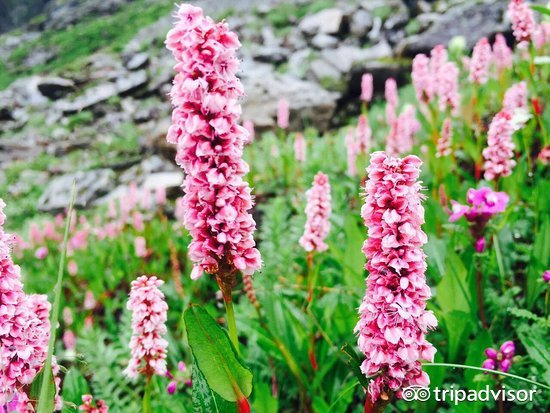 缤纷绚丽的视频,色彩斑斓的世界美景