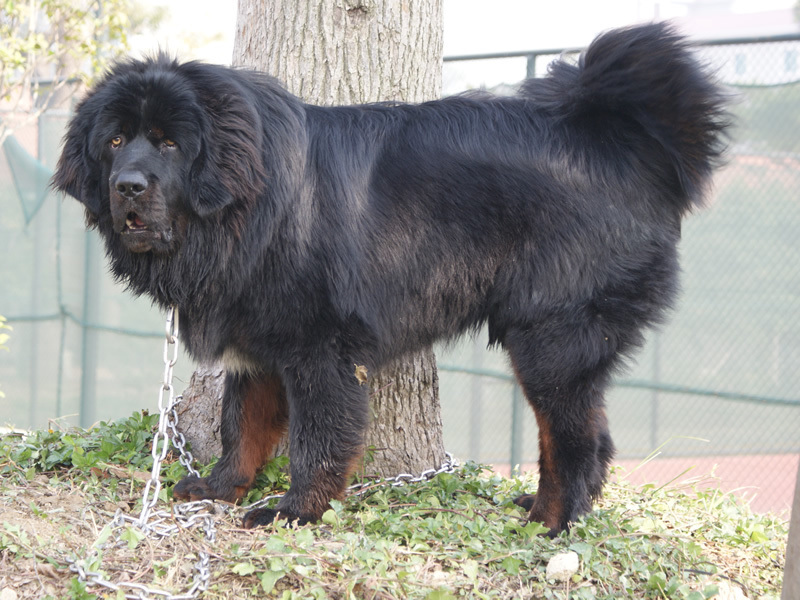 快餐式投资,快餐加盟投资预算