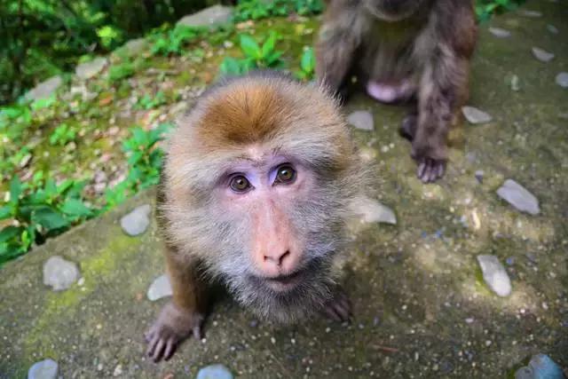 30年间从学徒到大师,46岁他隐居黄山脚下匠心造出2000㎡避世山居