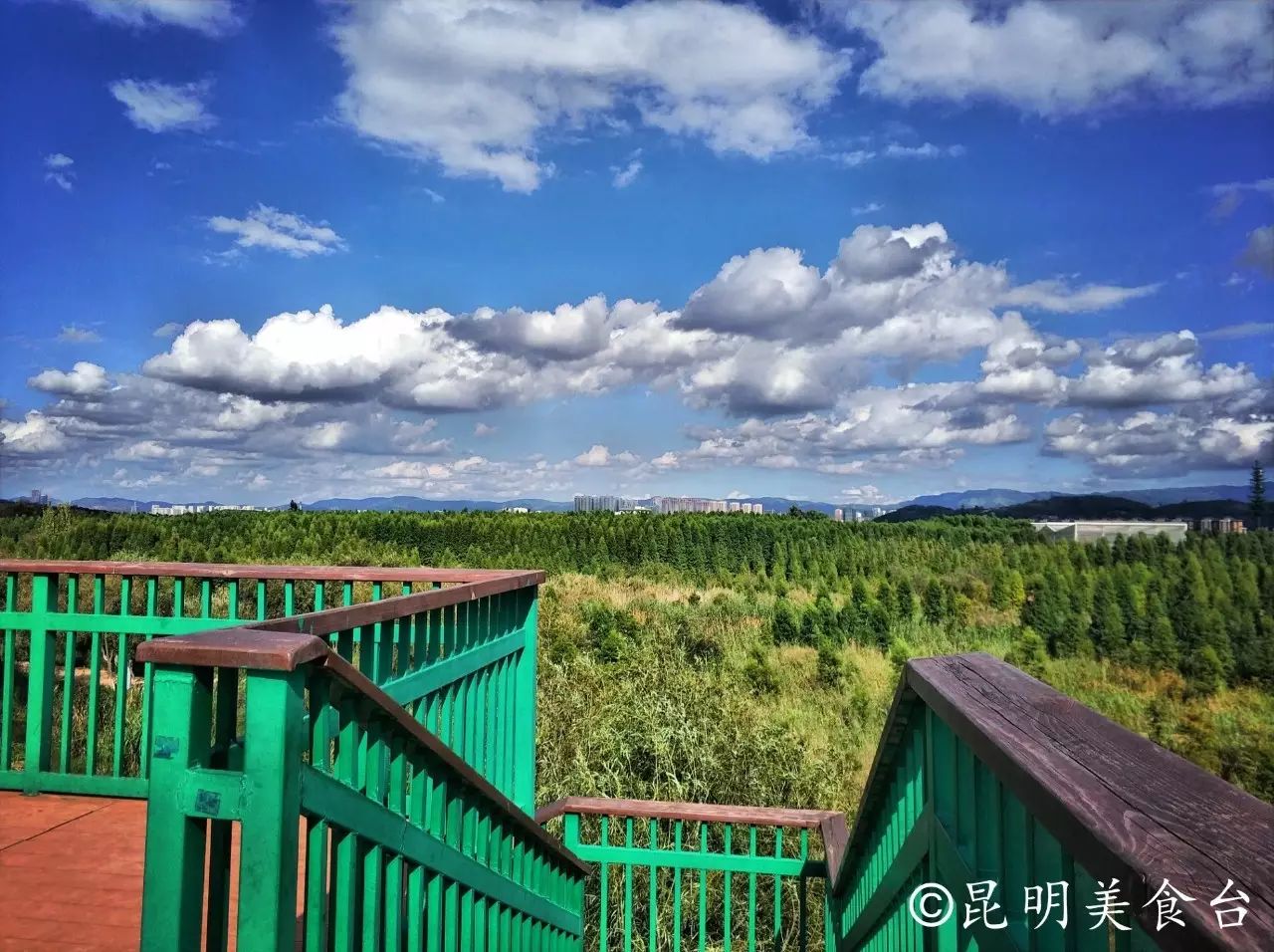 昆明捞鱼河公园万株野花如期绽放，国庆节踩烂2张共享单车也得去