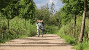 昆明捞鱼河公园万株野花如期绽放，国庆节踩烂2张共享单车也得去