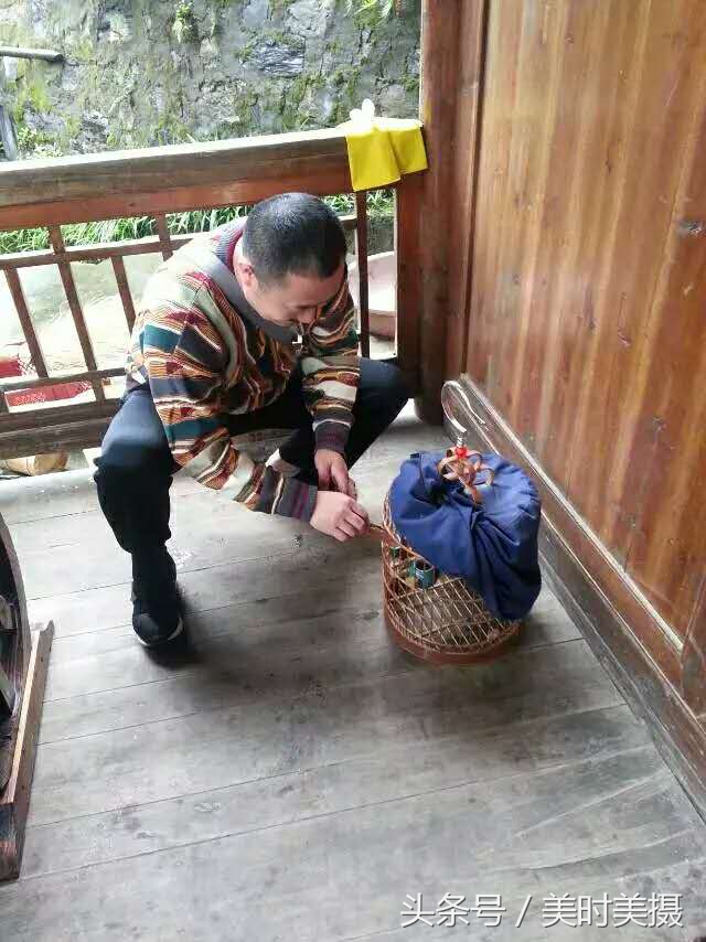 稀奇，这位农民竟懂鸟语？一分钟教你听懂画眉鸟在说什么