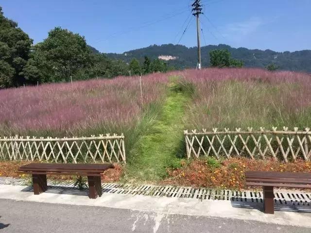 萌娃带你玩转景区,凤凰谷儿童游玩