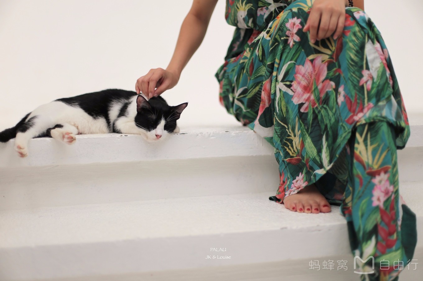 帕劳出海自由行,帕劳坐船旅游攻略