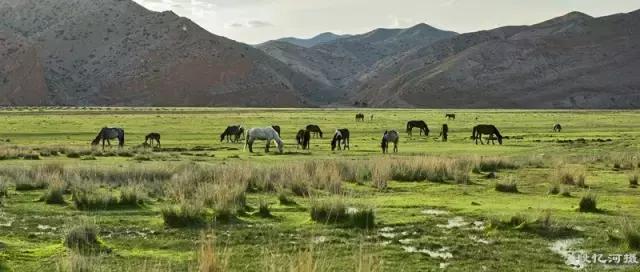 内蒙古数学水平,巴彦淖尔数学