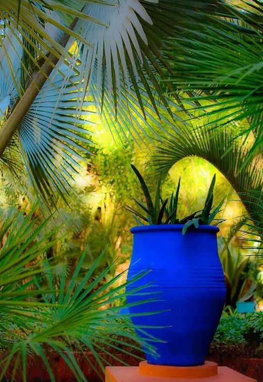 时装大师圣罗兰的秘密花园到底什么样?