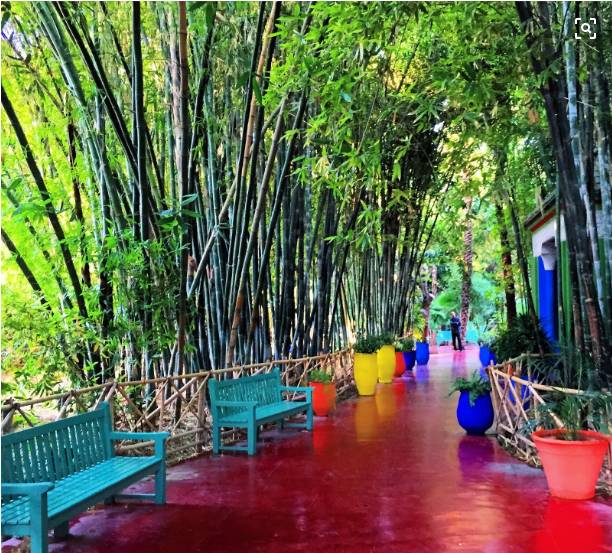 时装大师圣罗兰的秘密花园到底什么样?