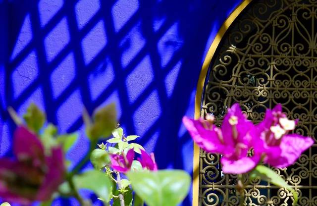 时装大师圣罗兰的秘密花园到底什么样?