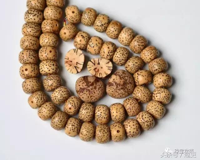 文玩菩提的技巧,文玩菩提的基本知识