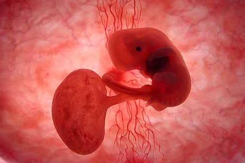 女人一生最多能承受几次生产,女人一生最多能承受几次剖宫产